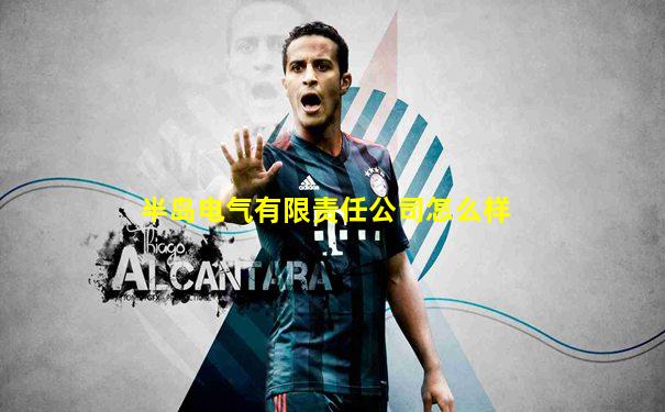 半岛电气有限责任公司怎么样