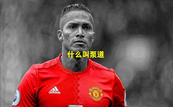 什么叫泵道