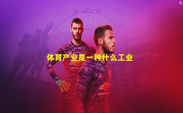 体育产业是一种什么工业