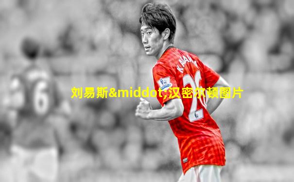 刘易斯·汉密尔顿图片