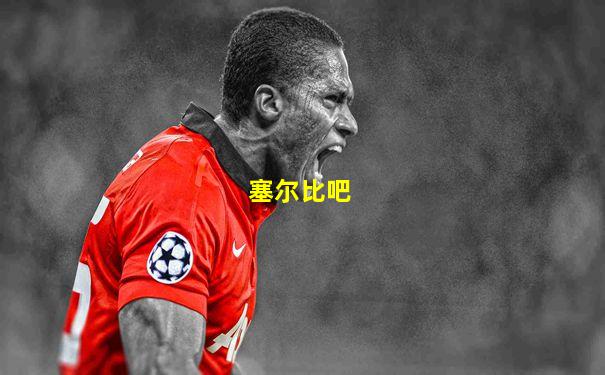 塞尔比吧