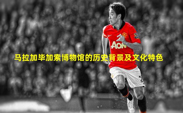 马拉加毕加索博物馆的历史背景及文化特色