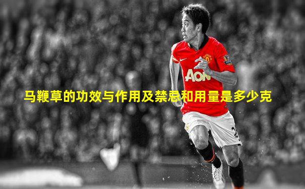 马鞭草的功效与作用及禁忌和用量是多少克